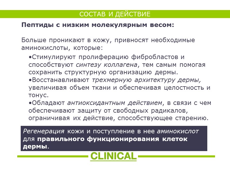 Пептиды с низким молекулярным весом:   Больше проникают в кожу, привносят необходимые аминокислоты,